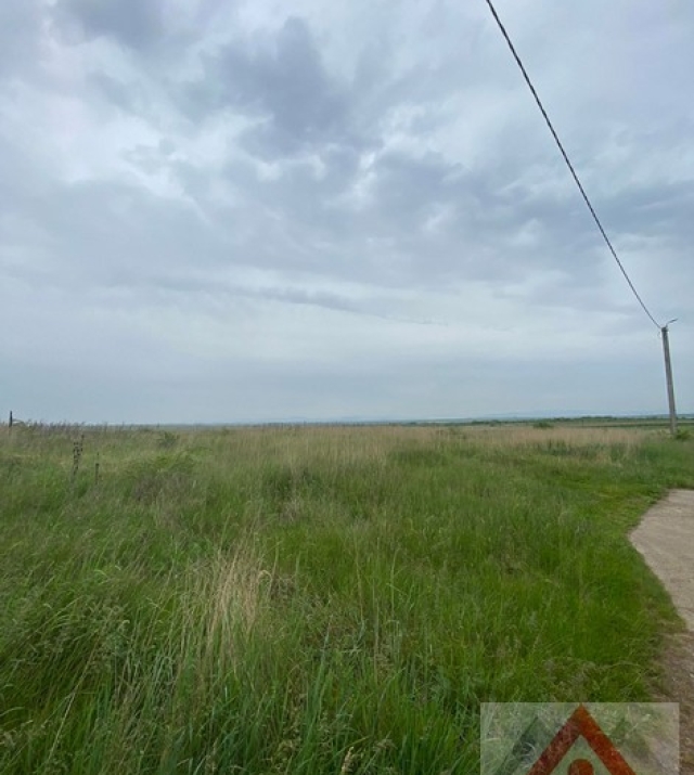 a1050-IntravilanViileSatu Mare01.JPG